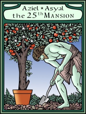 25th Mansion